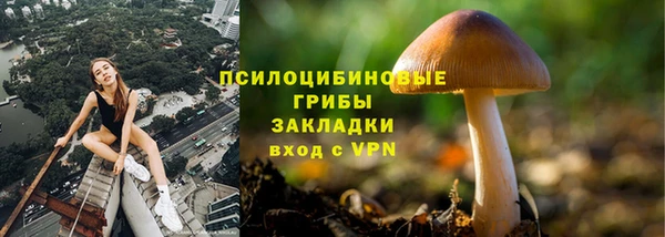 стафф Балахна