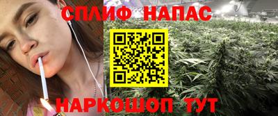 ECSTASY Заводоуковск