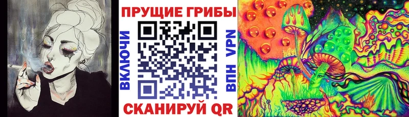 цена наркотик Новый Уренгой Галлюциногенные грибы MAGIC MUSHROOMS