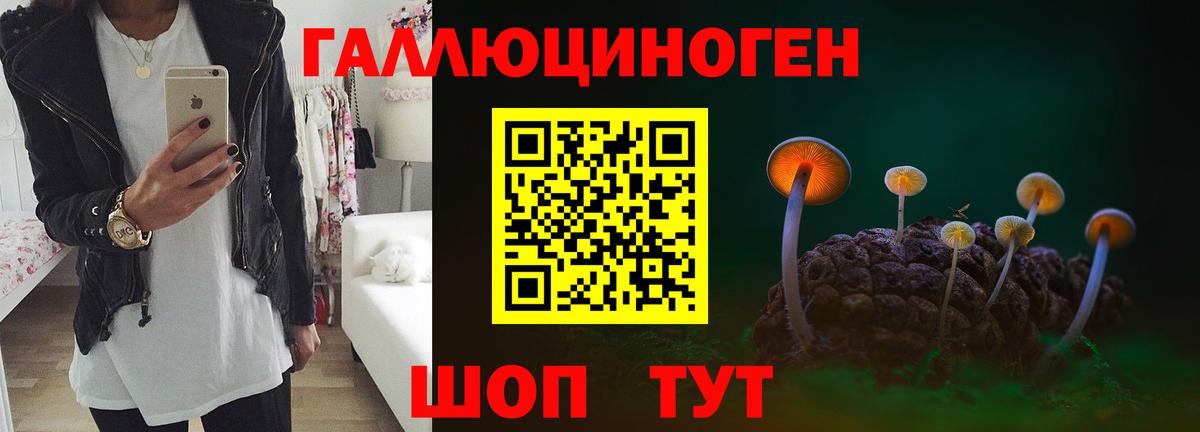 Галлюциногенные грибы ЛСД  Вход с VPN  где найти   Новый Уренгой  Псилоцибиновые грибы Cubensis 